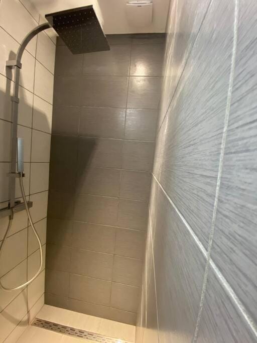 f2 50m2 atypique en souplex vue basilique Apartment in Grand Est