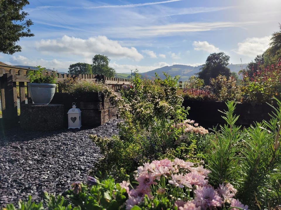 Day, Garden, Garden view