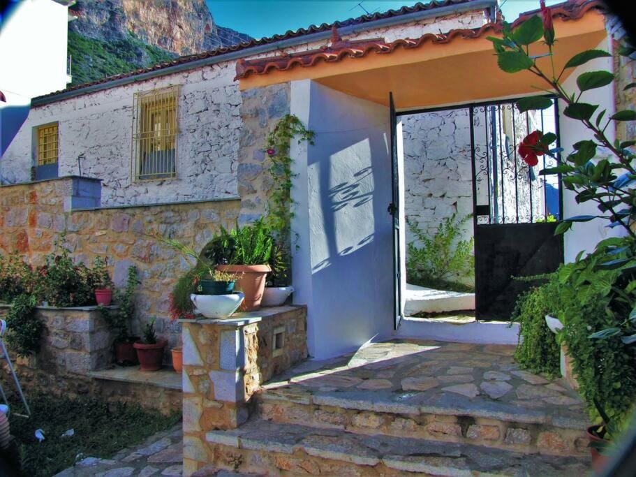 Inner courtyard view