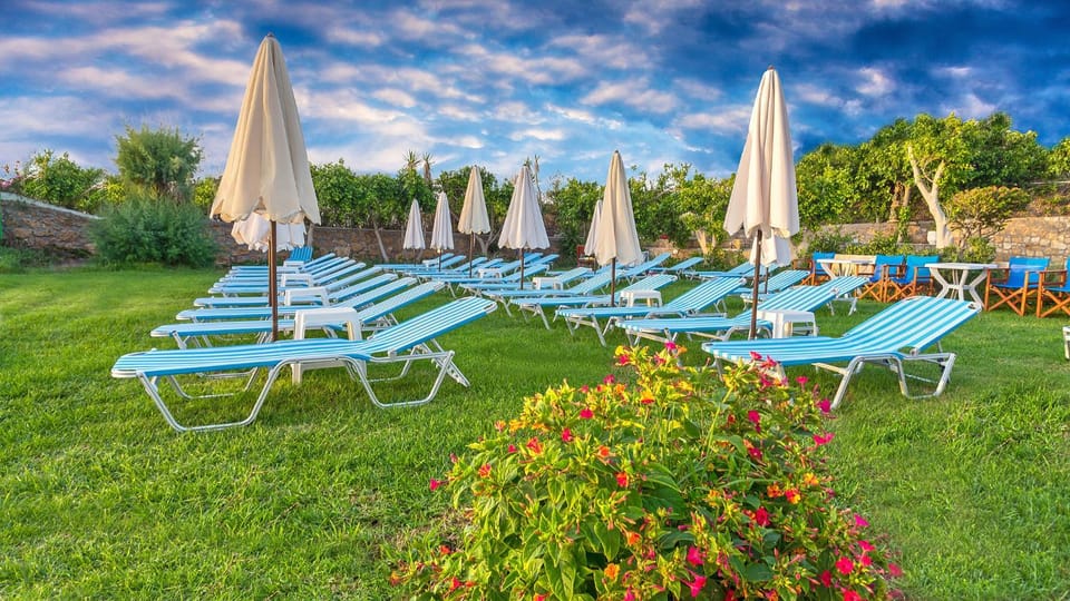 Patio, Garden, Swimming pool, Swimming pool