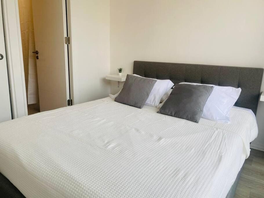 Acogedor apartamento en Santiago 1D1B Apartment in Santiago