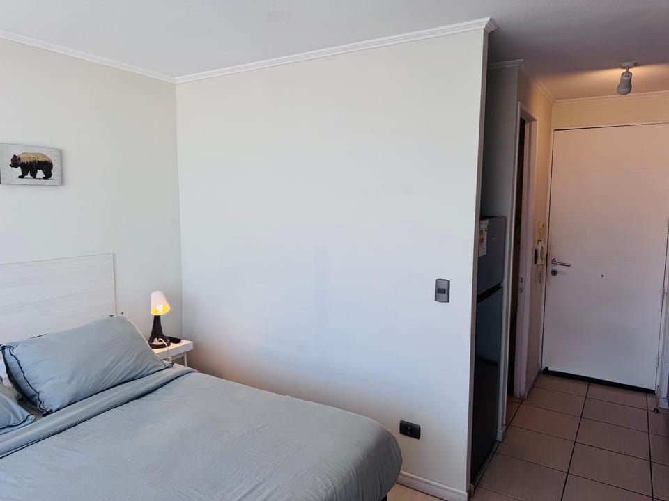Cómodo Apartamento en Santiago Studio Apartment in Santiago