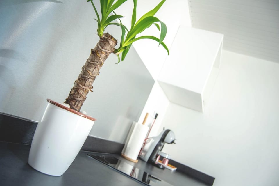 Bélya Apartment in Martinique