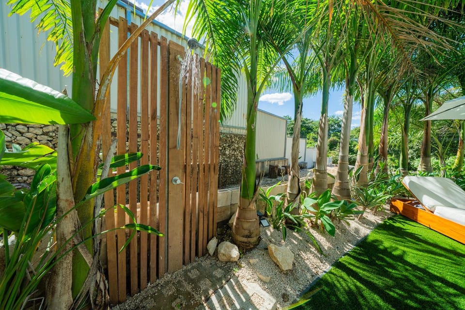 Property building, Day, Garden, Swimming pool