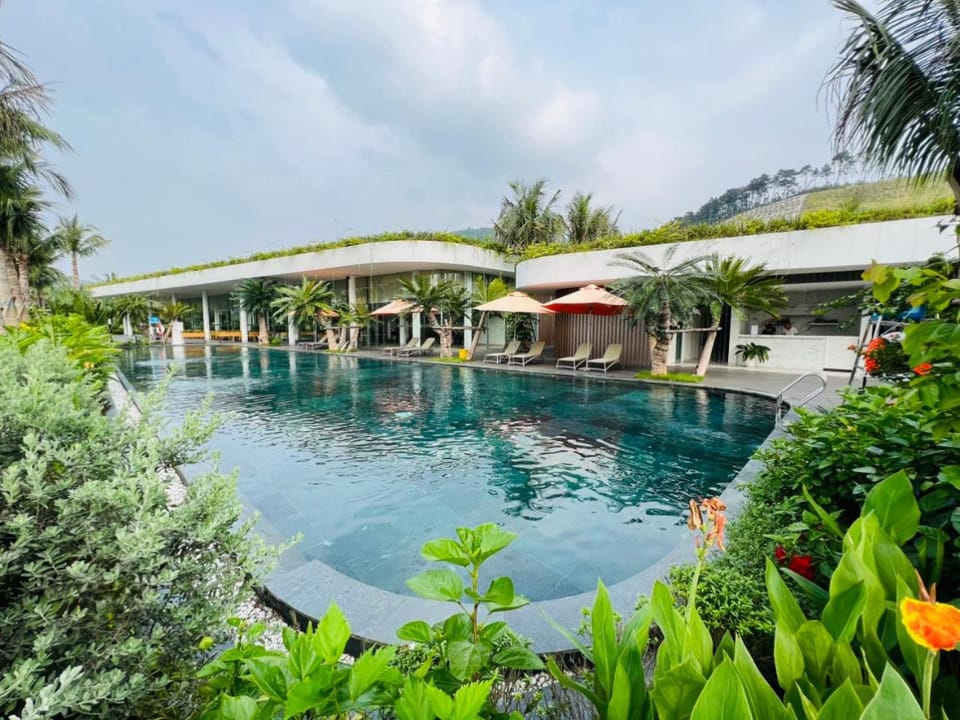 Pool view, Swimming pool