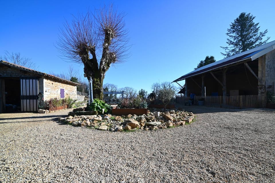 Day, Garden, Garden view, Inner courtyard view