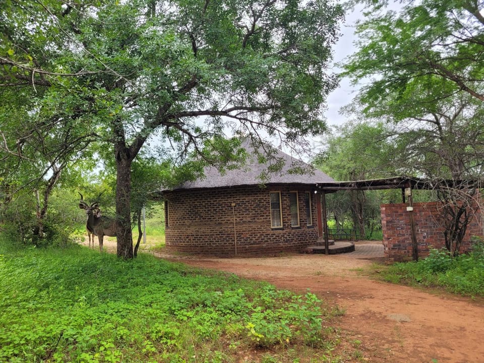 Hardekool Home Marloth Park House in South Africa