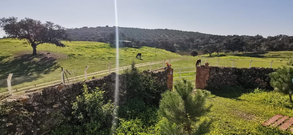 Day, Natural landscape, View (from property/room), Garden view, Landmark view, Mountain view