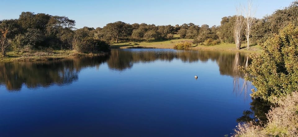 Day, Natural landscape, Activities, Hiking, Animals, Pets, Lake view, Area and facilities, Entertainment