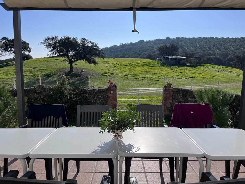 Patio, Day, Natural landscape, Garden, View (from property/room), Balcony/Terrace, Dining area, Garden view, Mountain view