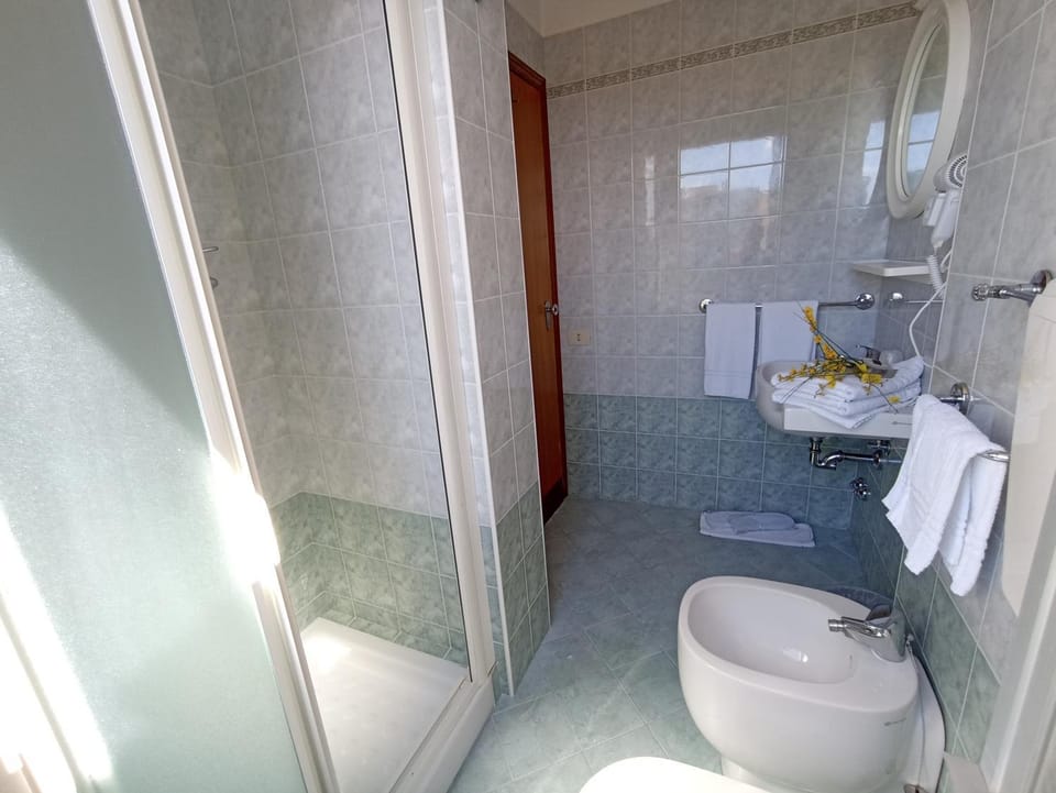 Shower, Shower, Toilet, Bathroom, bidet, towels