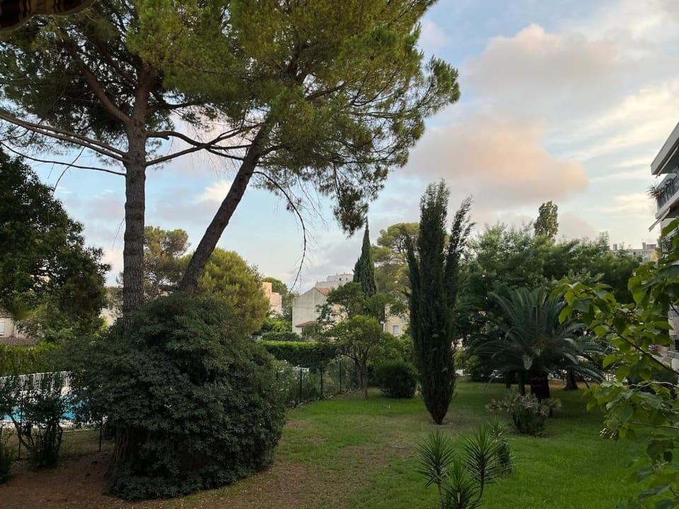 Garden, Swimming pool