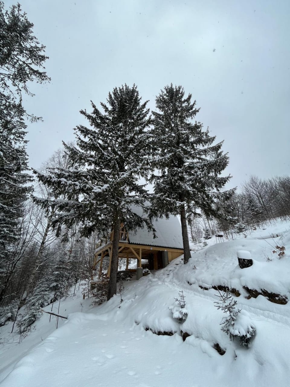 Схованка House in Ukraine
