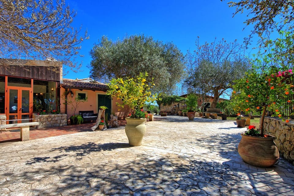 Property building, Garden, Garden view