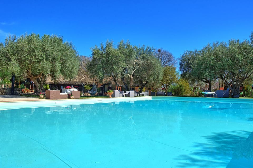 Garden, Garden view, Pool view, Swimming pool