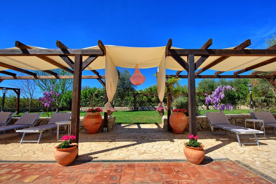 Patio, Garden, Garden view, sunbed