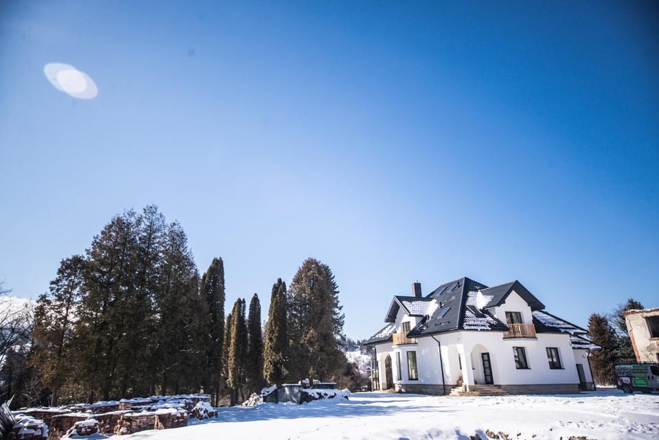 Property building, Day, Natural landscape, Winter, Garden