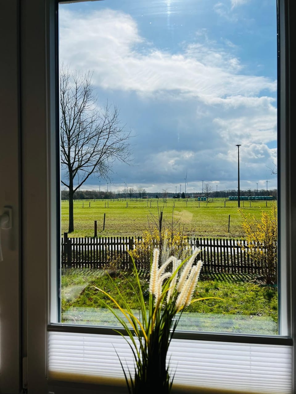 View (from property/room), View (from property/room), Quiet street view