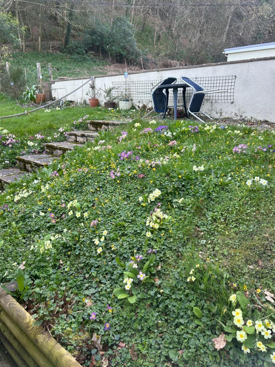 Property building, Garden