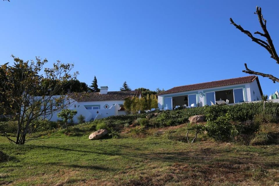 Property building, Day, Natural landscape, Garden, Garden view