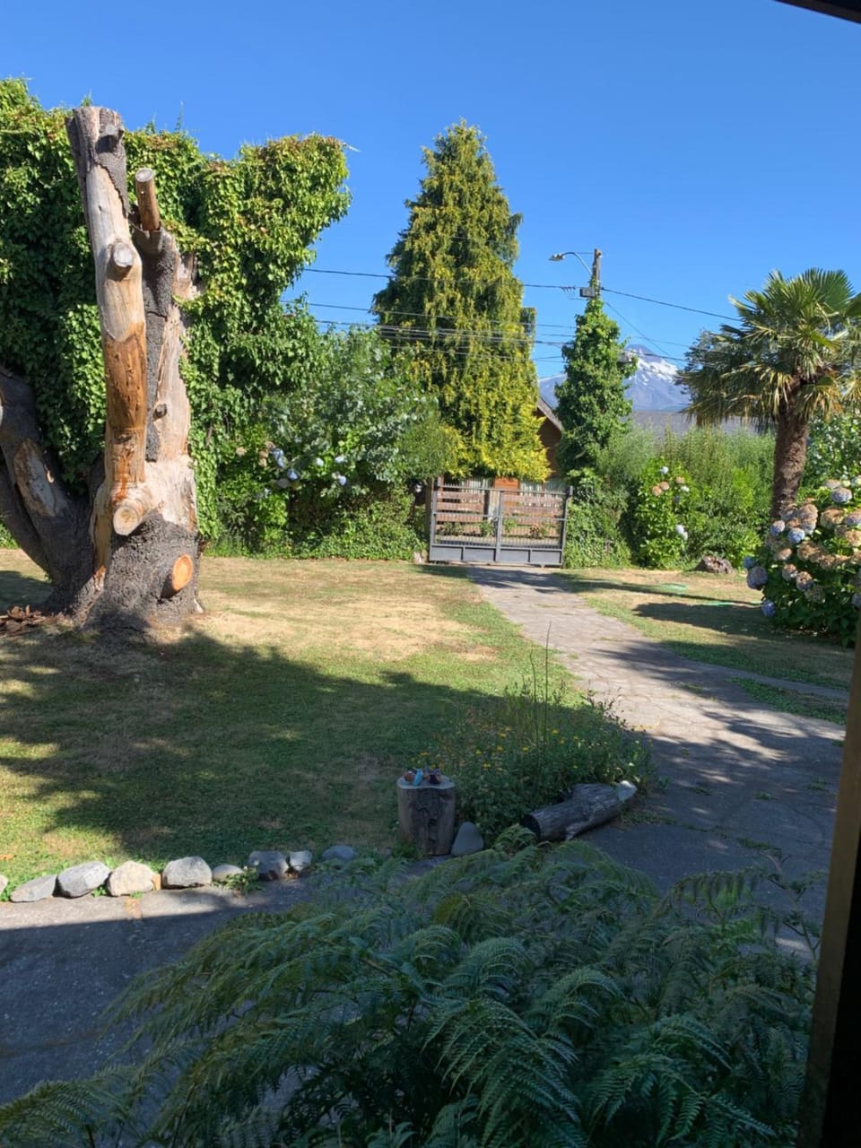 Day, Natural landscape, Garden, Garden view, Mountain view
