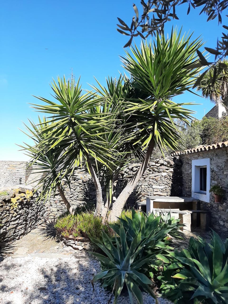 Garden, Garden view