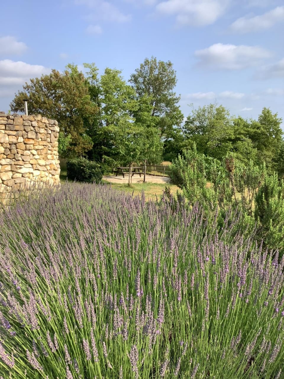 Garden view