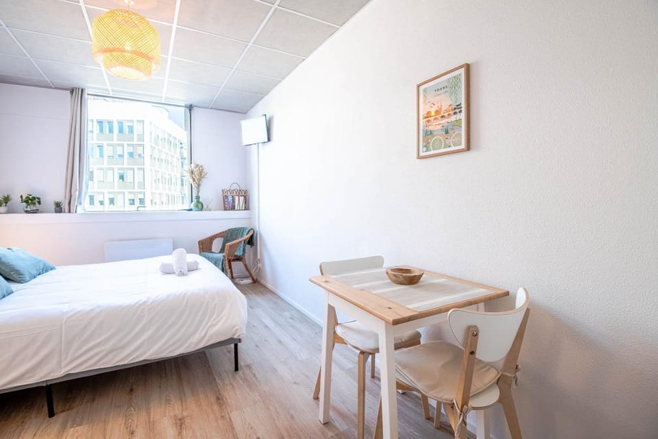 Appartement Le Cocooning Apartment in Tours