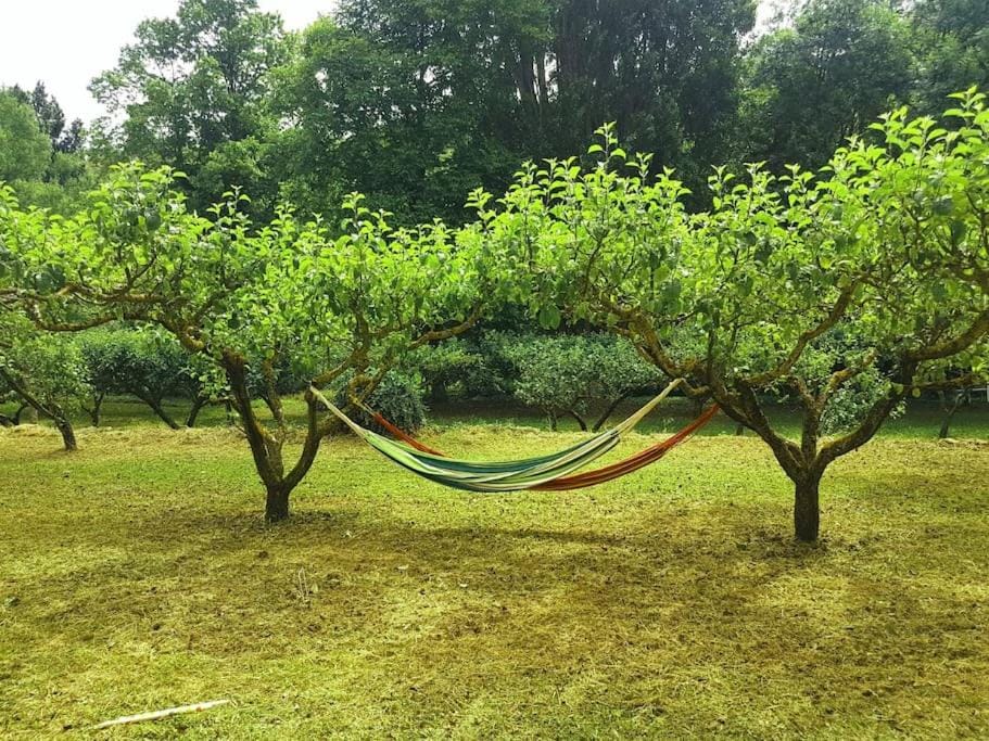 Natural landscape, Garden, Garden view