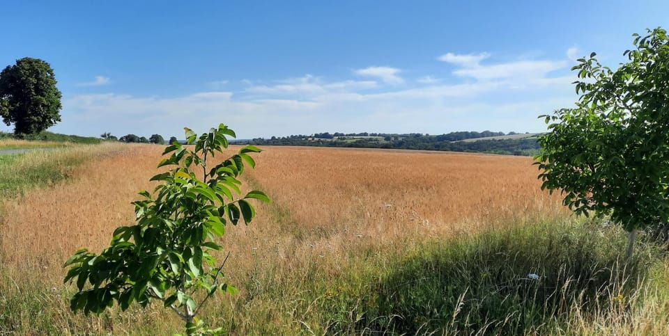 Natural landscape