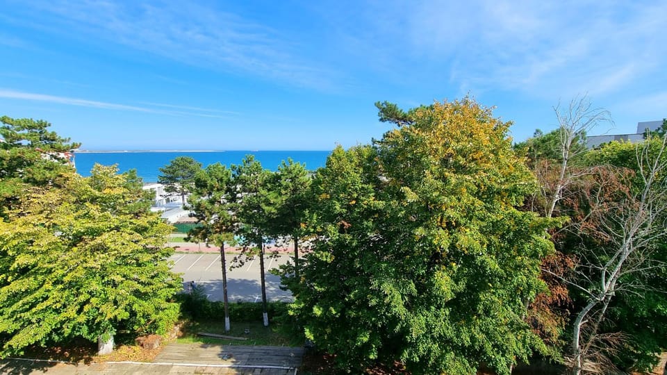 Hotel Astoria Hotel in Eforie Nord