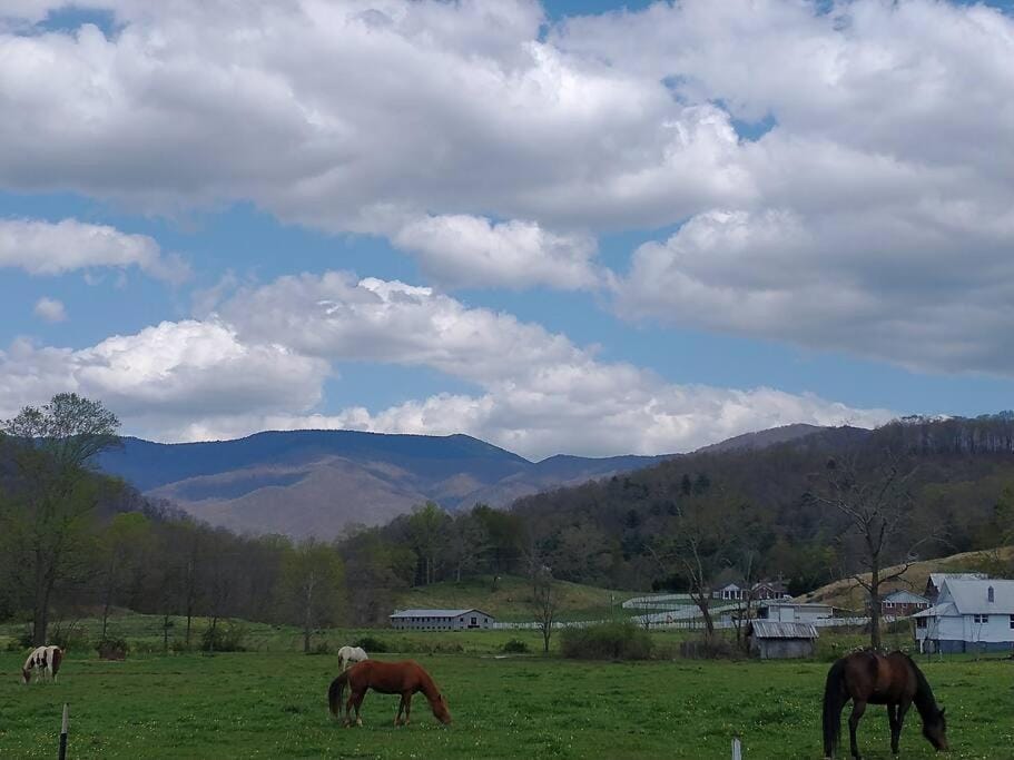 Country Mountain Escape! House in Buncombe County