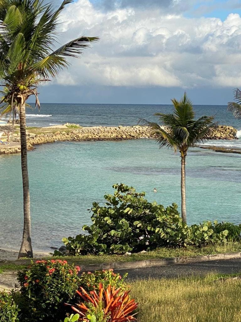 View (from property/room), Beach