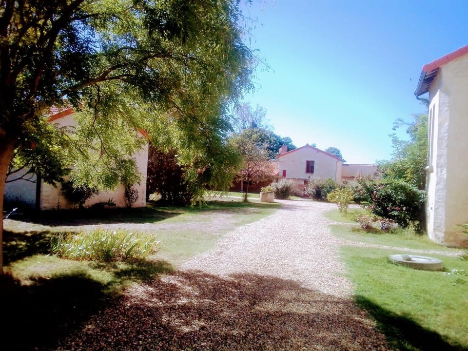 Spring, Garden, Garden view