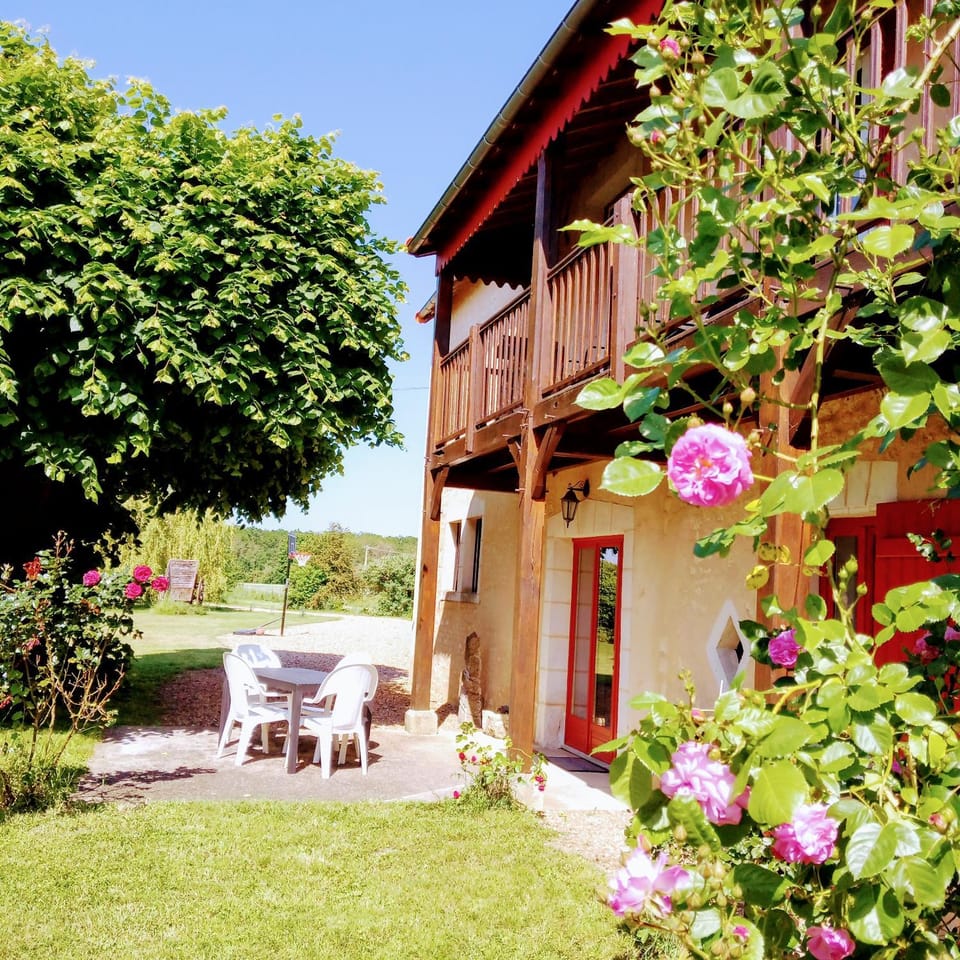 Property building, Garden view