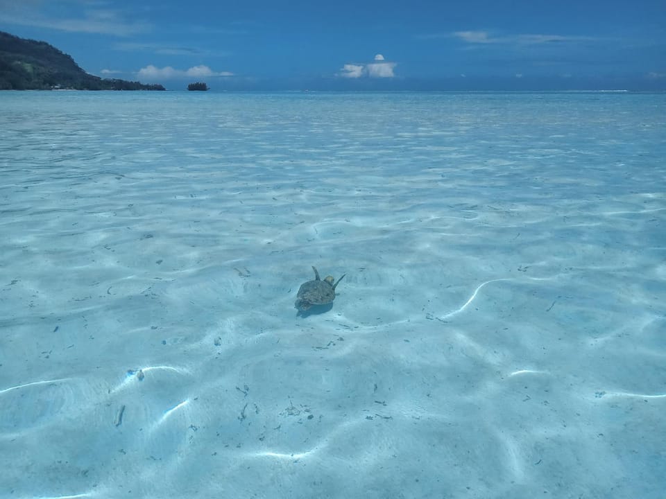 Natural landscape