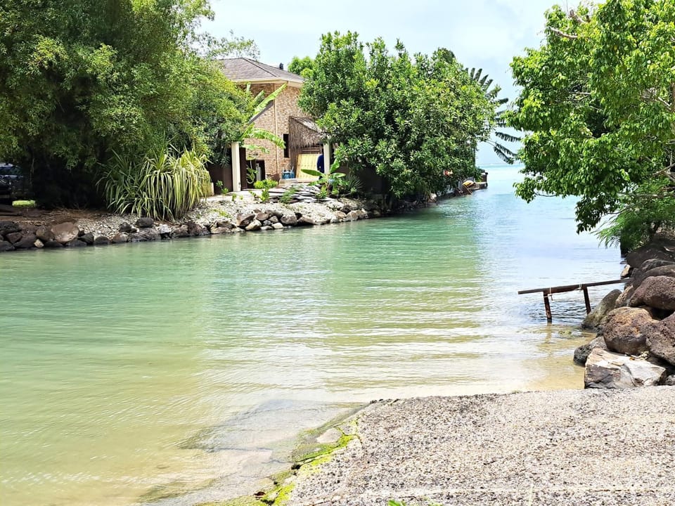 Lake view