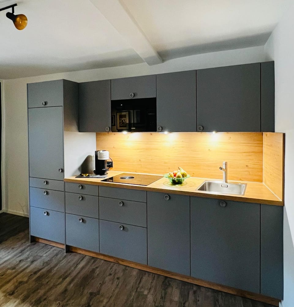 Kitchen or kitchenette, minibar, stove