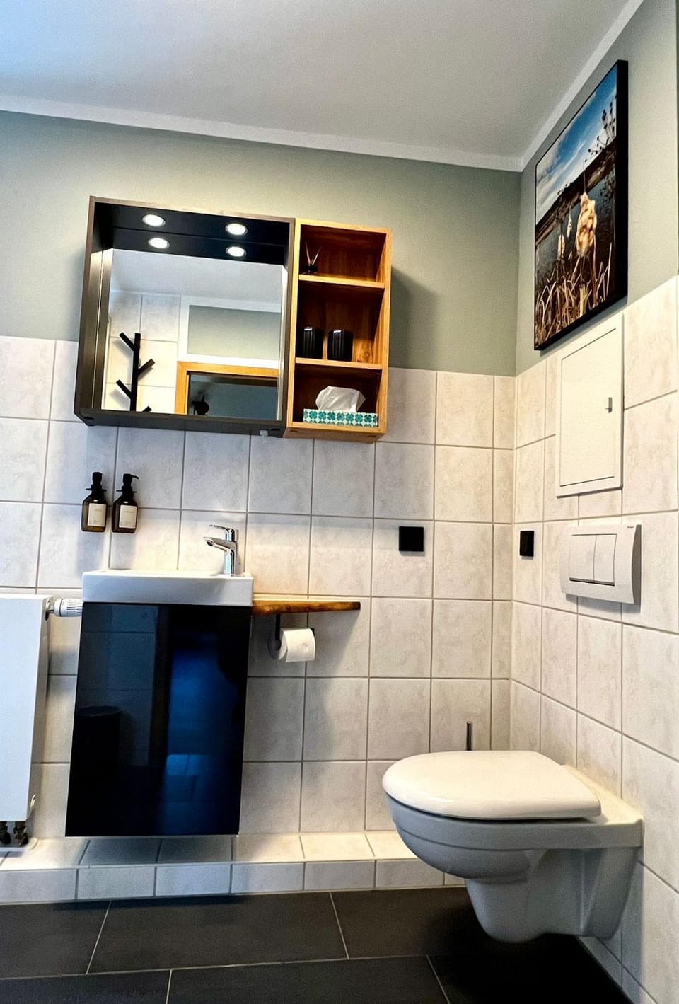 Toilet, Bathroom