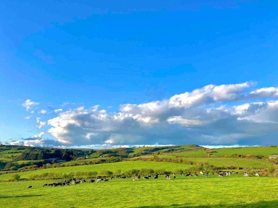 Natural landscape