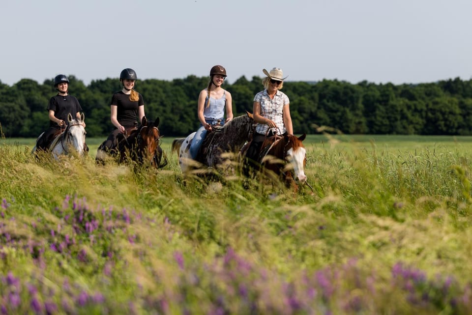 Off site, Horse-riding