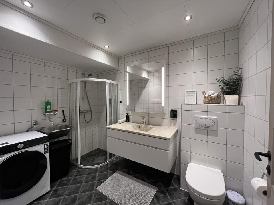 Shower, Toilet, Bathroom, washing machine