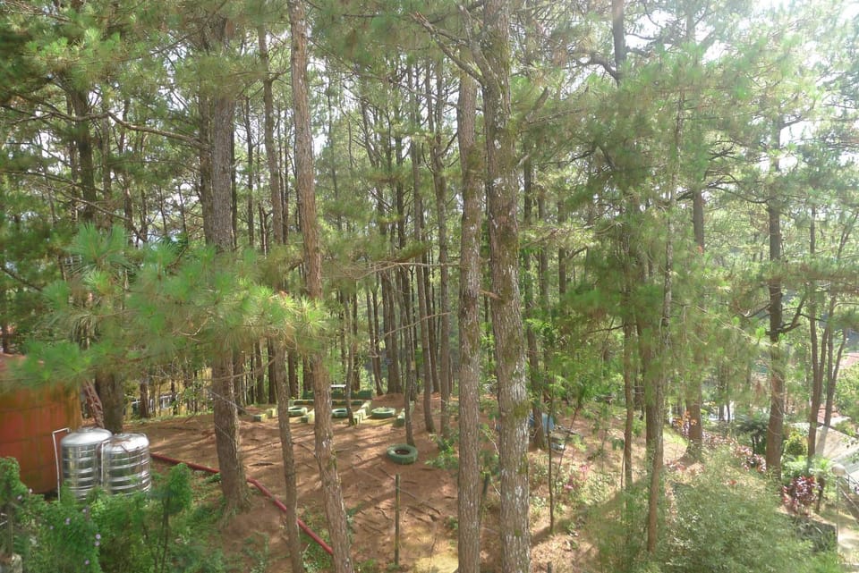 View (from property/room)
