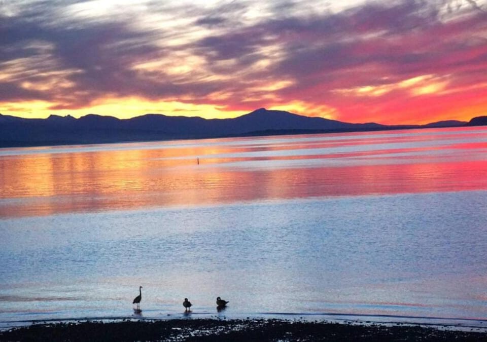 Property building, Restaurant/places to eat, Swimming pool, Breakfast