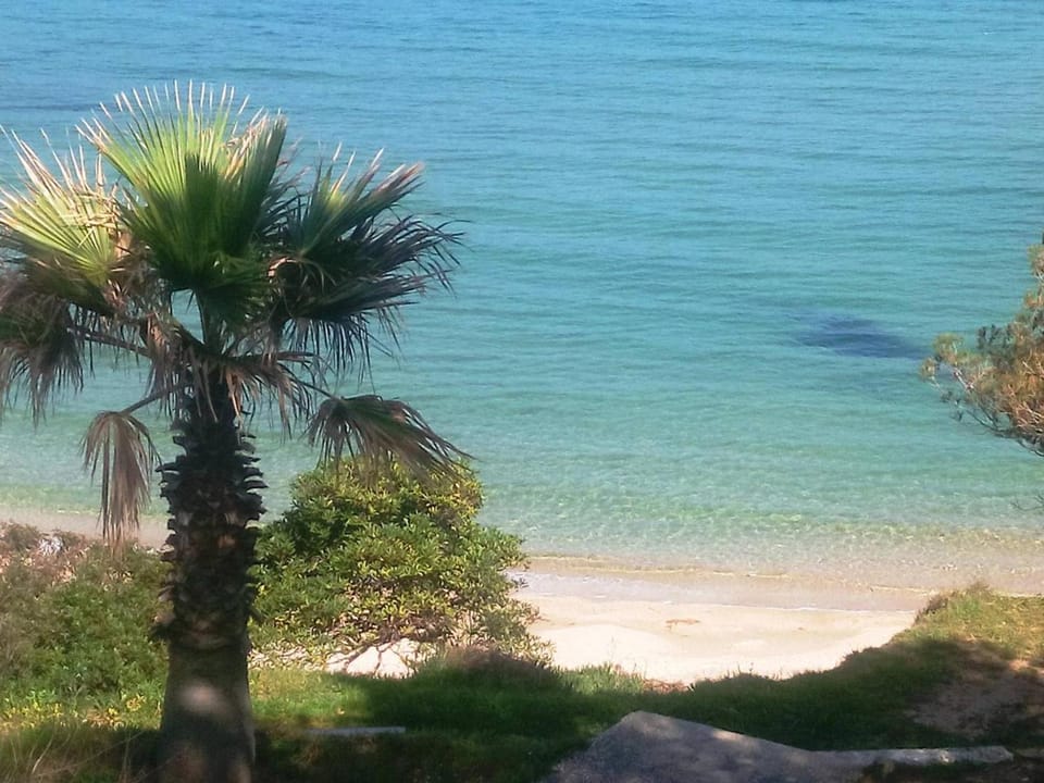 Appartement climatisé avec piscine, terrasse et parking - 6 couchages, près de la plage - FR-1-251-451 Apartment in Le Lavandou