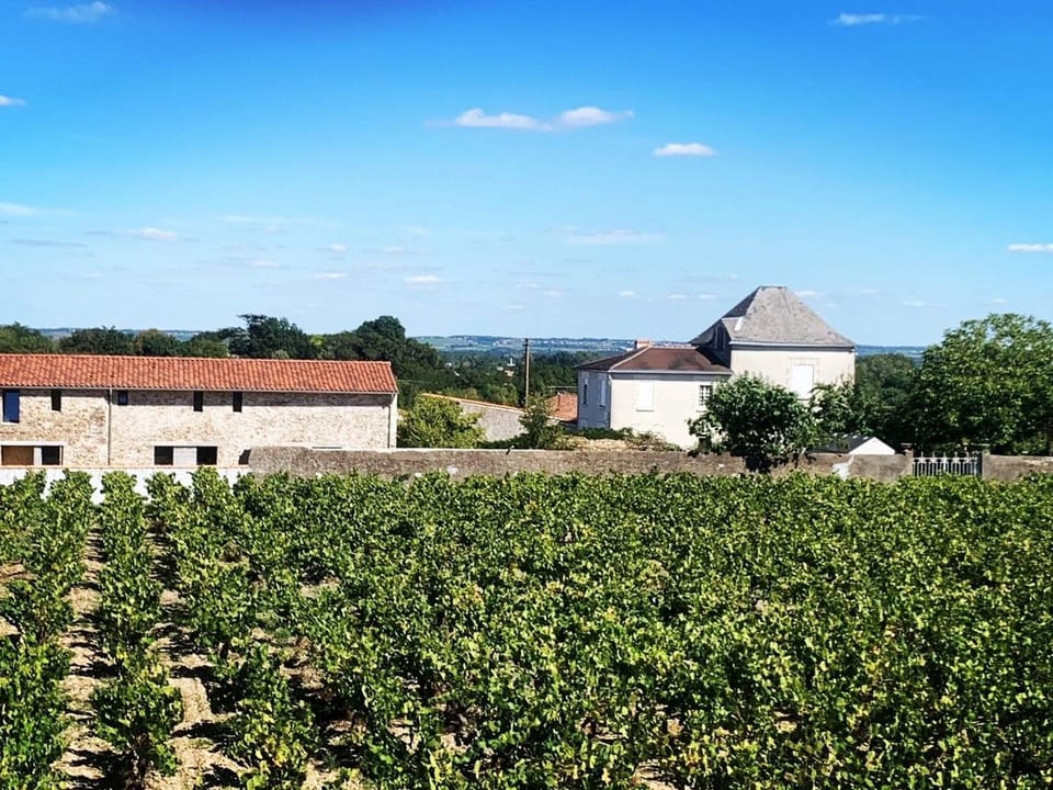 Gîte Au Calme Près de Nantes avec Wifi - FR-1-306-1235 House in Pays de la Loire
