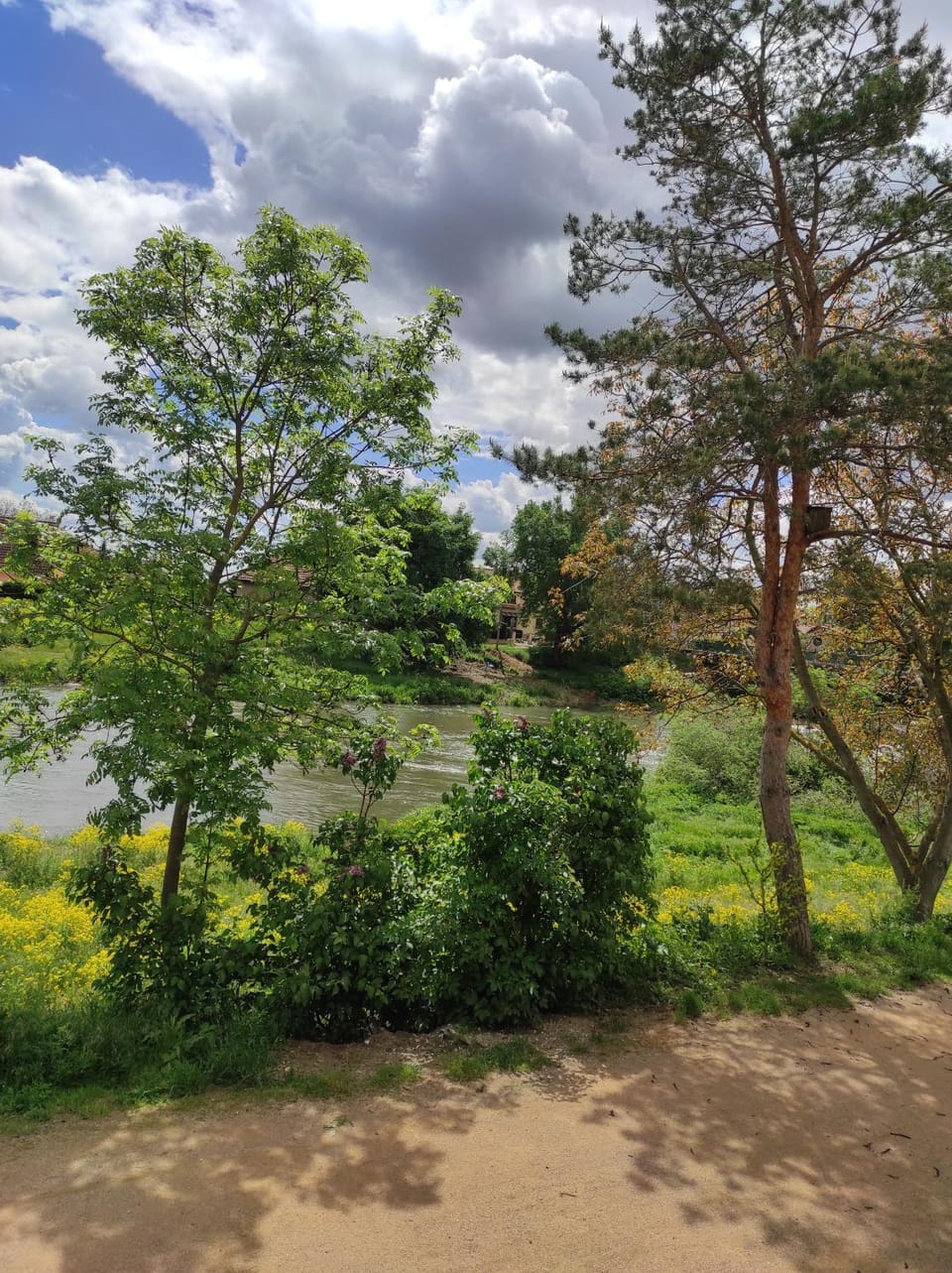 Natural landscape, River view