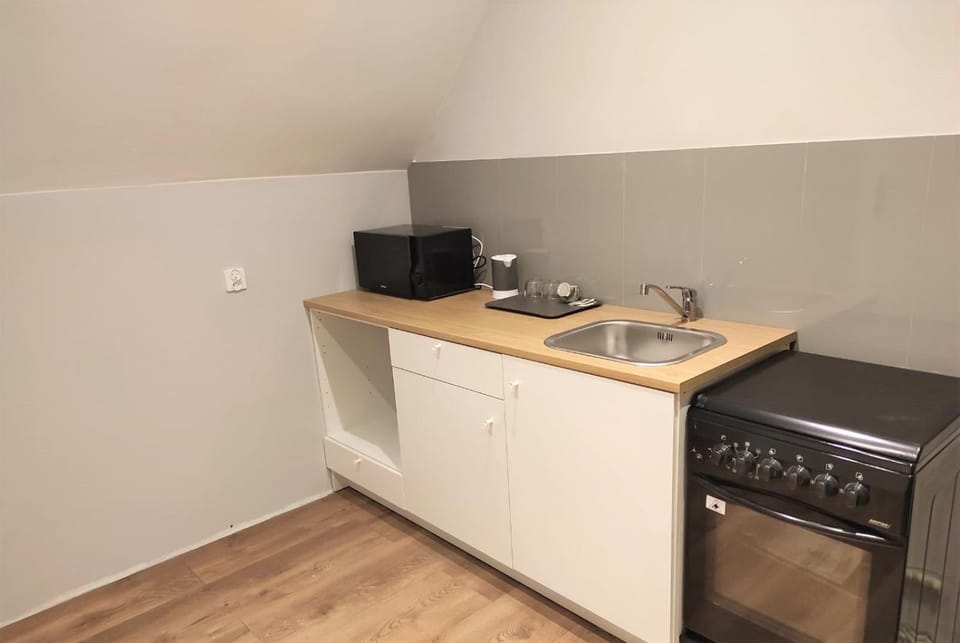 Kitchen or kitchenette, minibar, pet friendly, stove