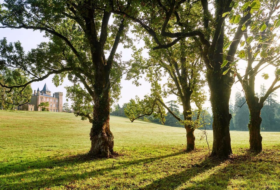 Day, Natural landscape, Garden, Garden view