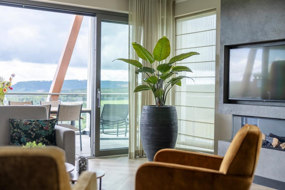 Living room, Mountain view